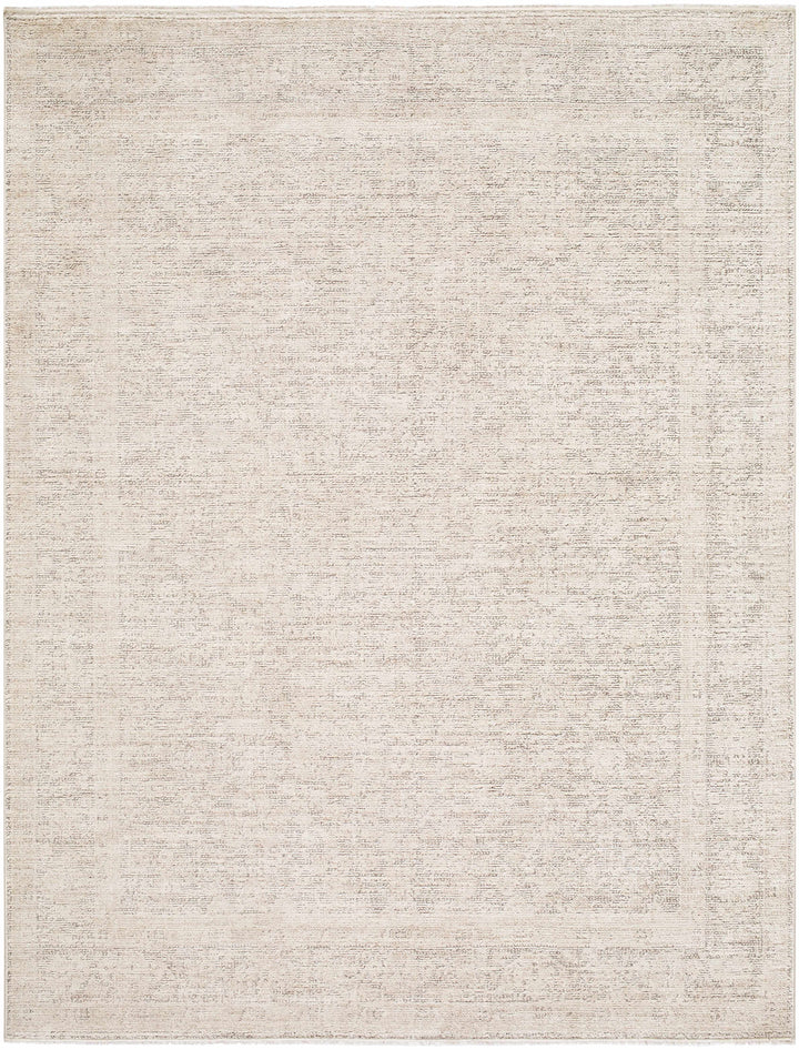 Astrea  Gray And Beige Traditional Style Area Rug
