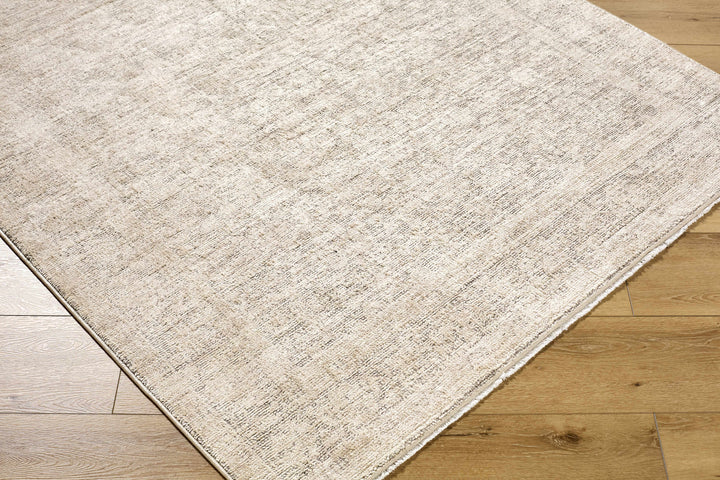 Astrea  Gray And Beige Traditional Style Area Rug