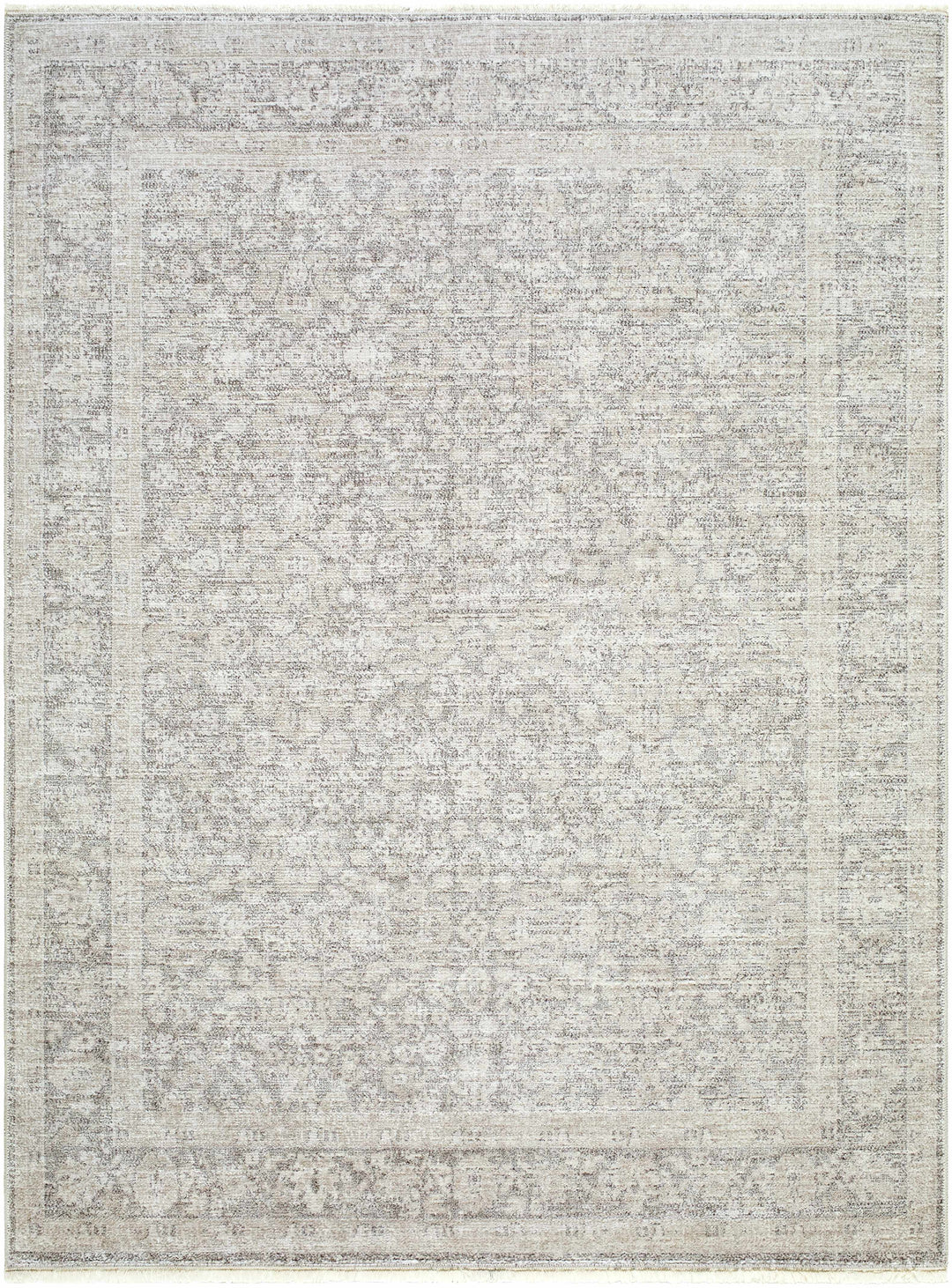 Astrea  Gray And Beige Traditional Style Area Rug
