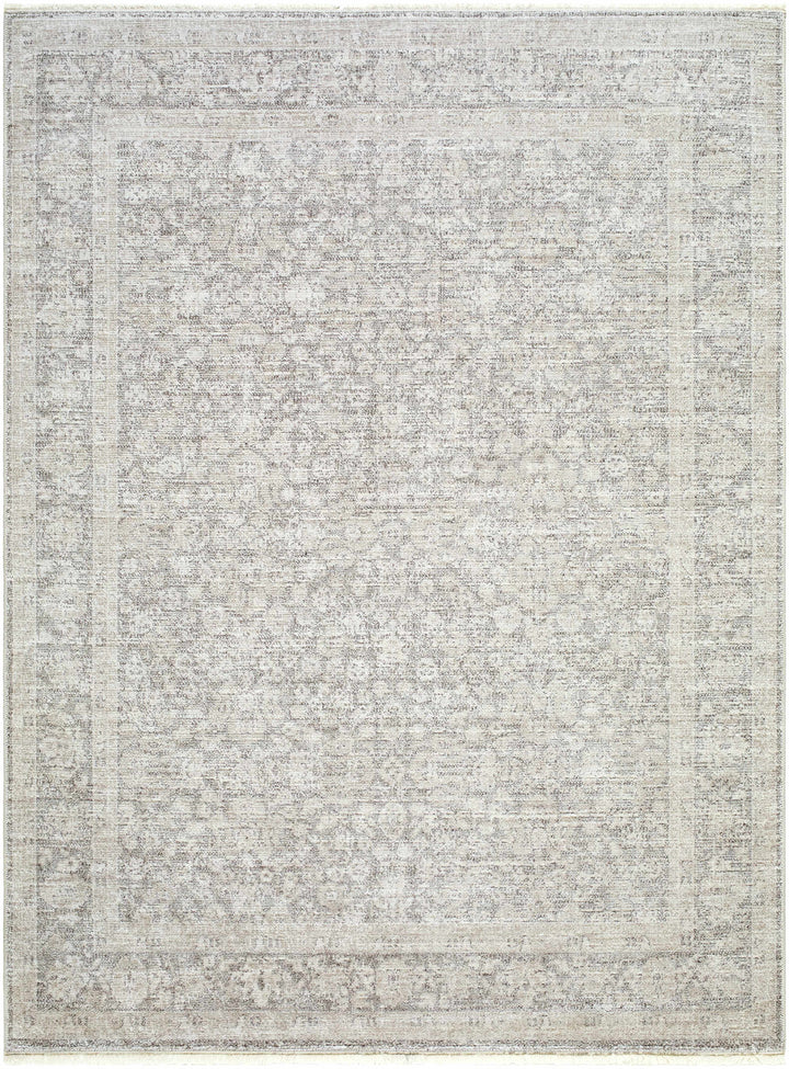 Astrea  Gray And Beige Traditional Style Area Rug