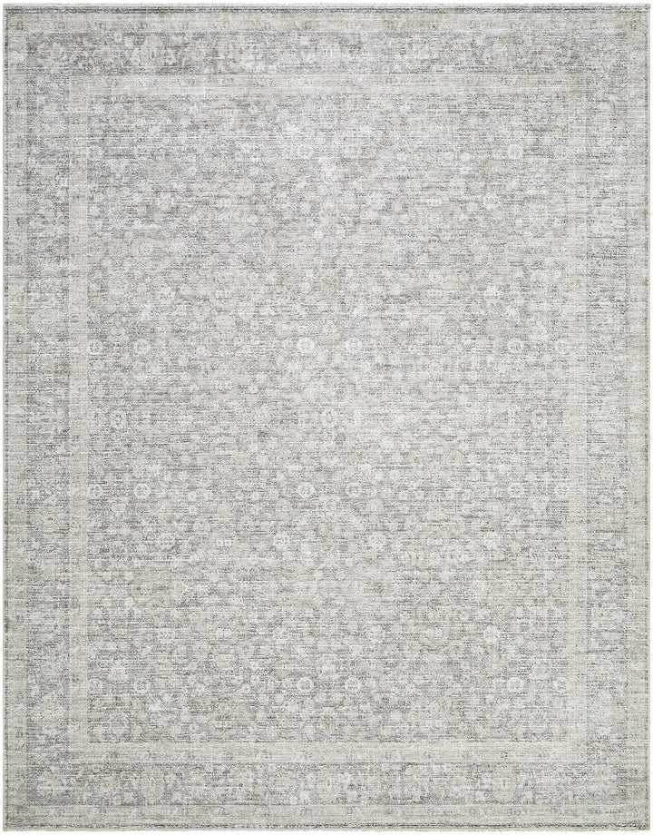 Astrea  Gray And Beige Traditional Style Area Rug