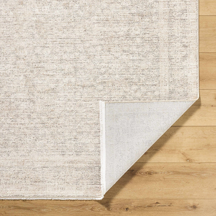 Astrea  Gray And Beige Traditional Style Area Rug
