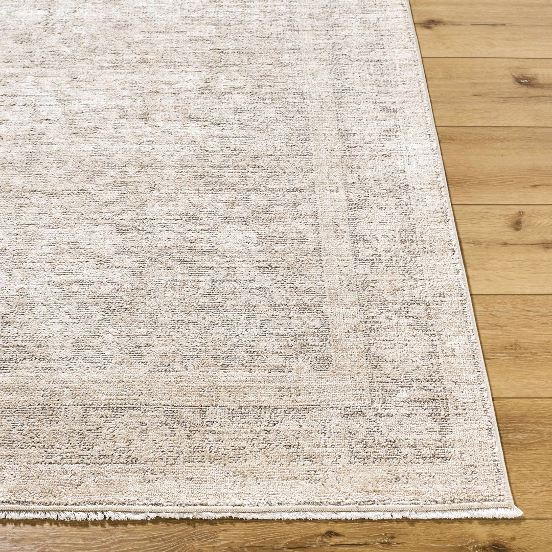 Astrea  Gray And Beige Traditional Style Area Rug