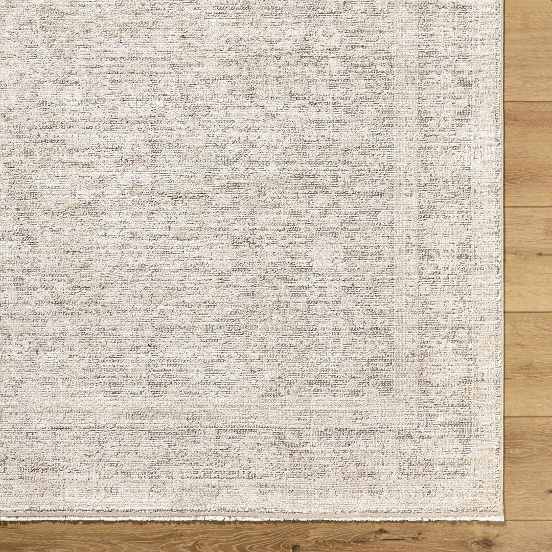 Astrea  Gray And Beige Traditional Style Area Rug