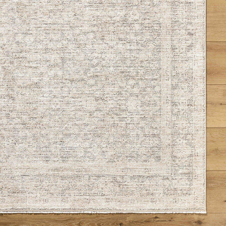 Astrea  Gray And Beige Traditional Style Area Rug