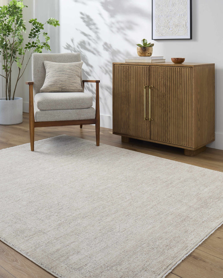 Astrea  Gray And Beige Traditional Style Area Rug