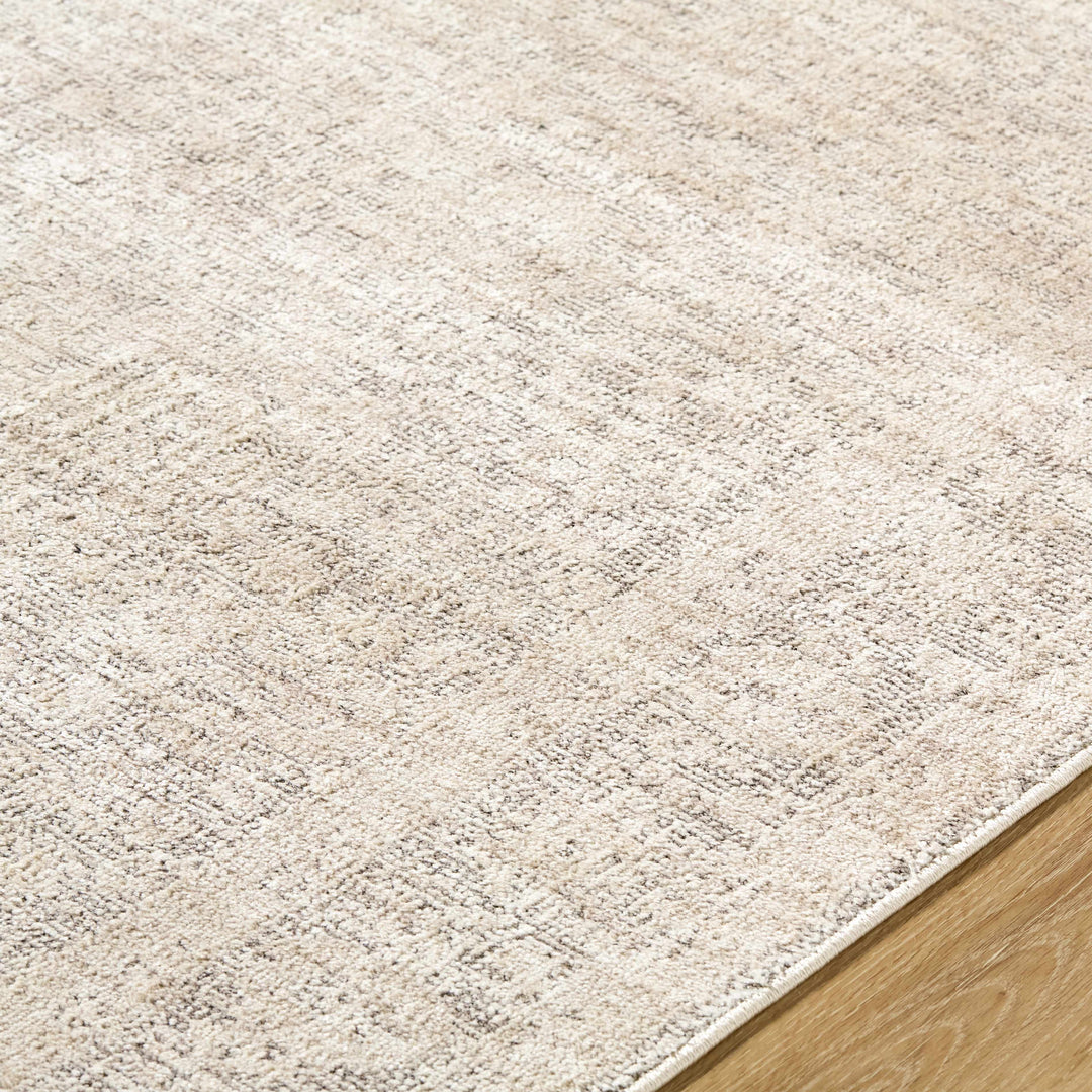Astrea  Gray And Beige Traditional Style Area Rug