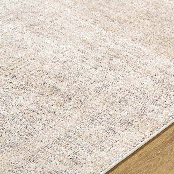 Astrea  Gray And Beige Traditional Style Area Rug