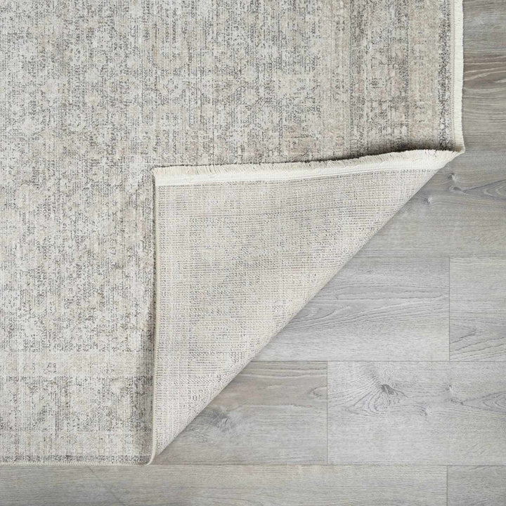 Astrea  Gray And Beige Traditional Style Area Rug