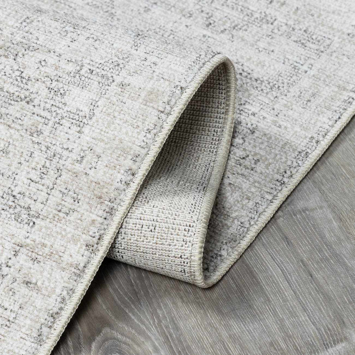 Astrea  Gray And Beige Traditional Style Area Rug