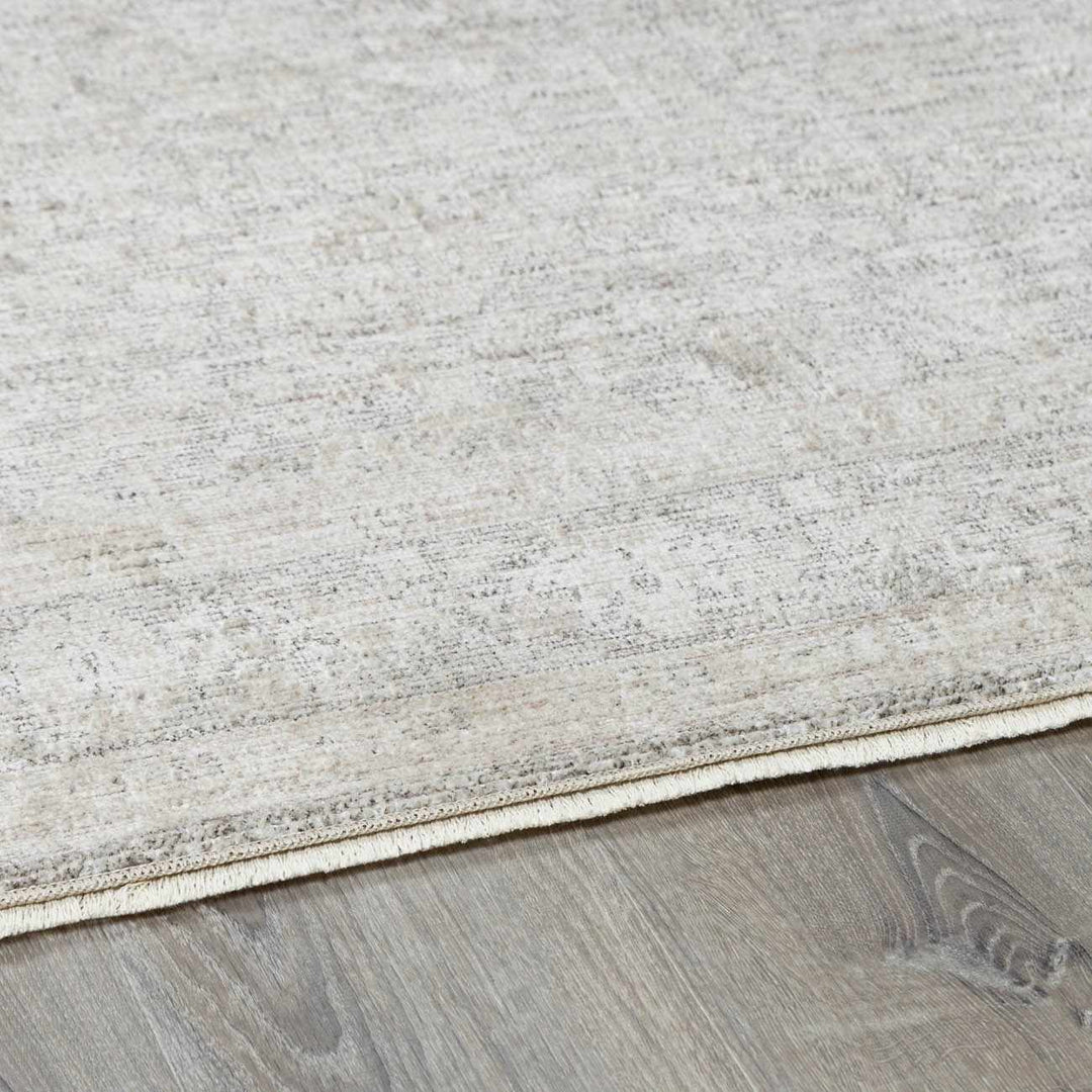 Astrea  Gray And Beige Traditional Style Area Rug
