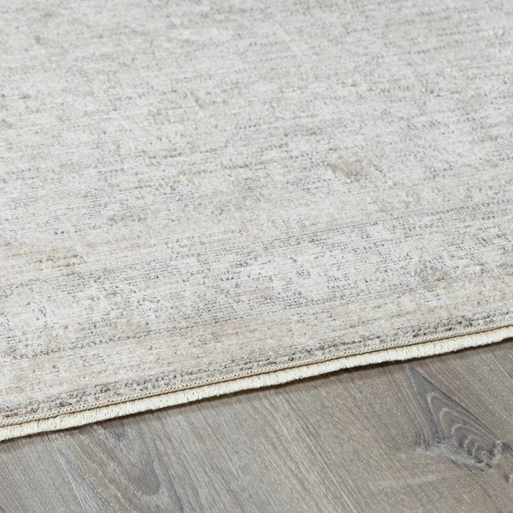 Astrea  Gray And Beige Traditional Style Area Rug
