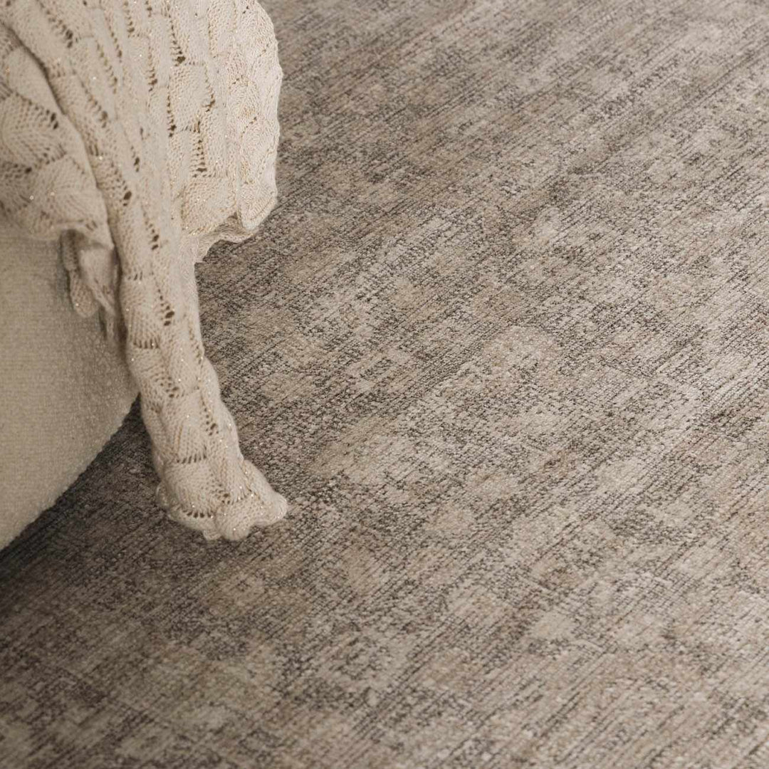 Astrea  Gray And Beige Traditional Style Area Rug