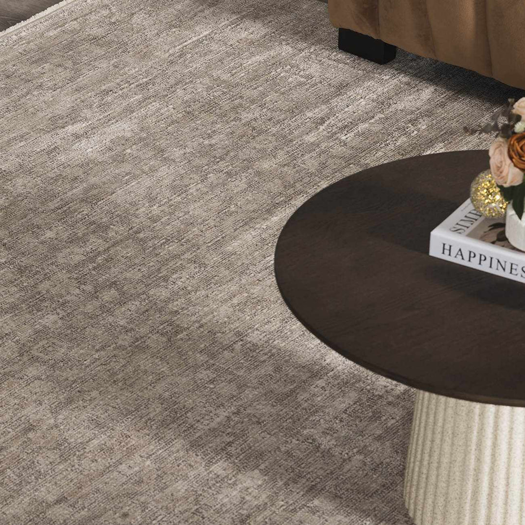 Astrea  Gray And Beige Traditional Style Area Rug
