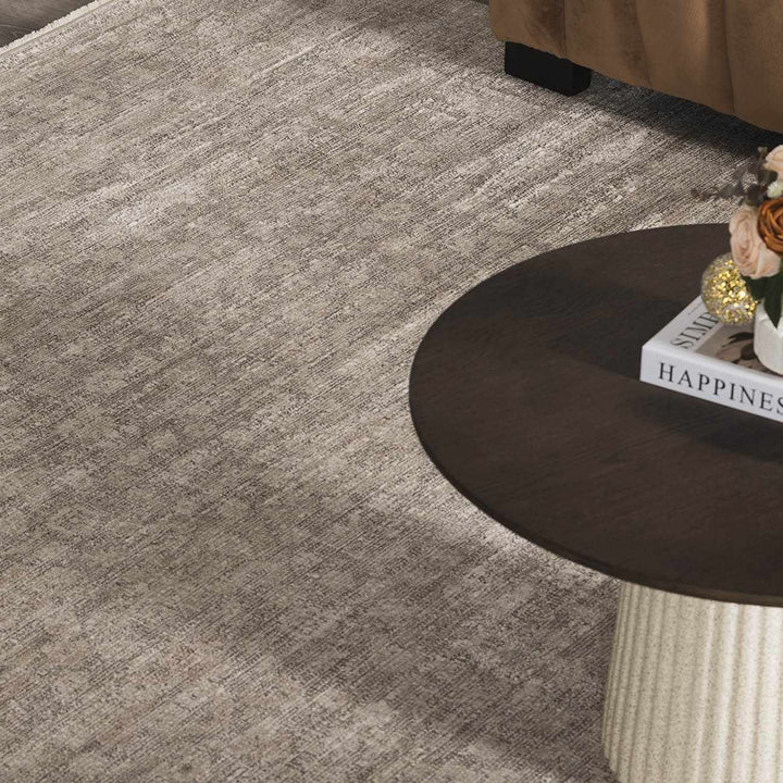 Astrea  Gray And Beige Traditional Style Area Rug