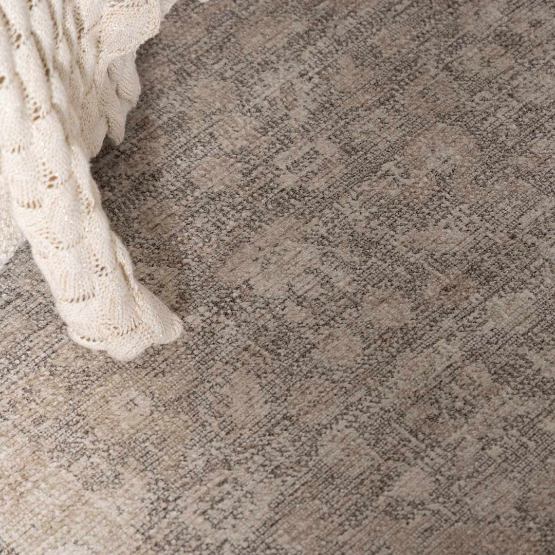 Astrea  Gray And Beige Traditional Style Area Rug