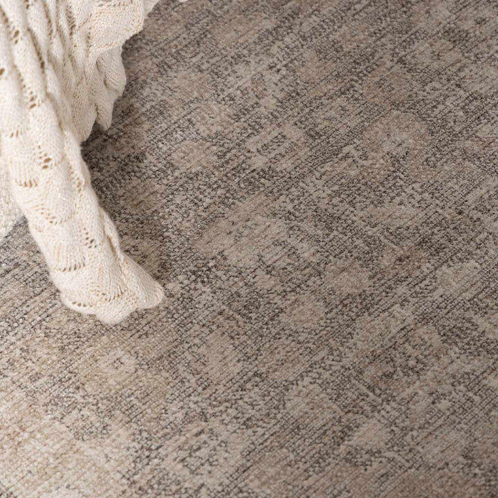 Astrea  Gray And Beige Traditional Style Area Rug