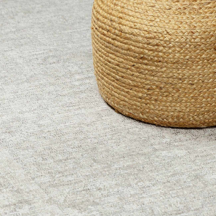 Astrea  Gray And Beige Traditional Style Area Rug