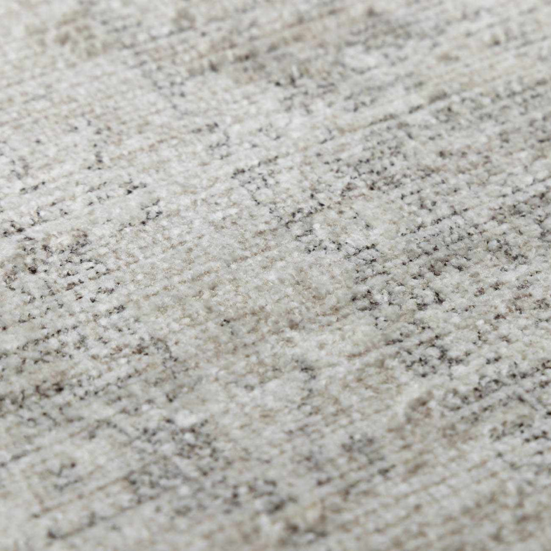 Astrea  Gray And Beige Traditional Style Area Rug