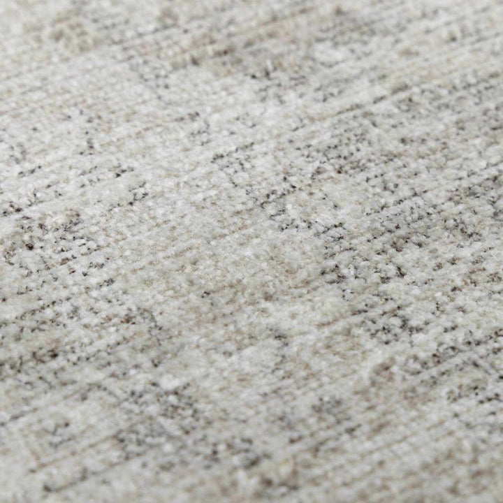 Astrea  Gray And Beige Traditional Style Area Rug