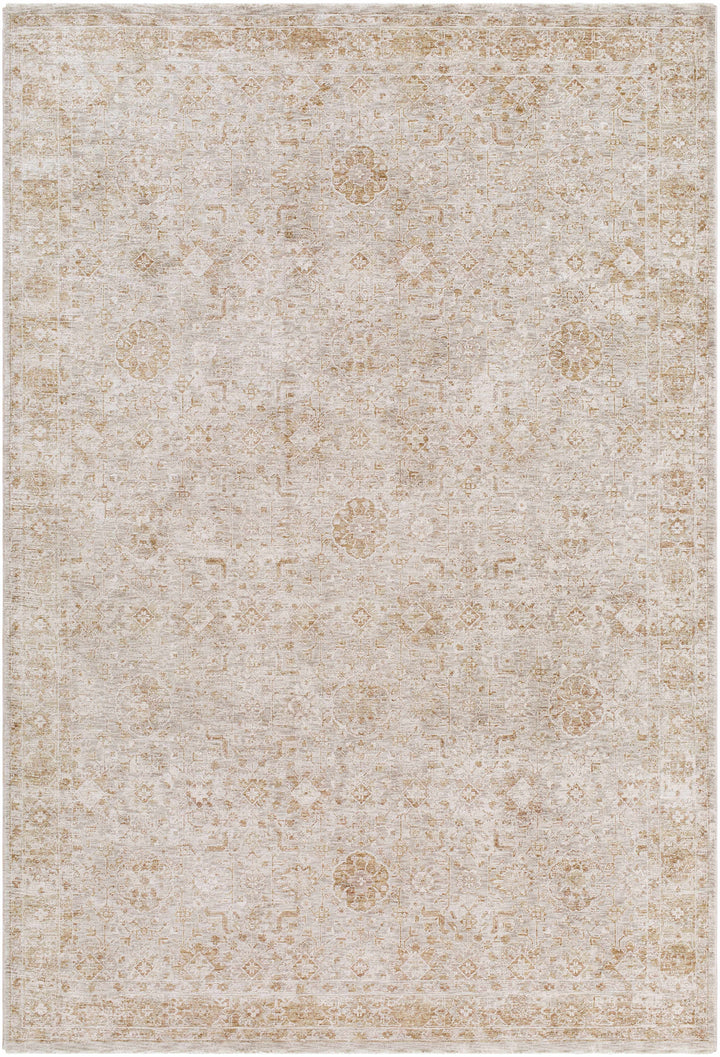 Andres Traditional Style Tan And Cream Area Rug