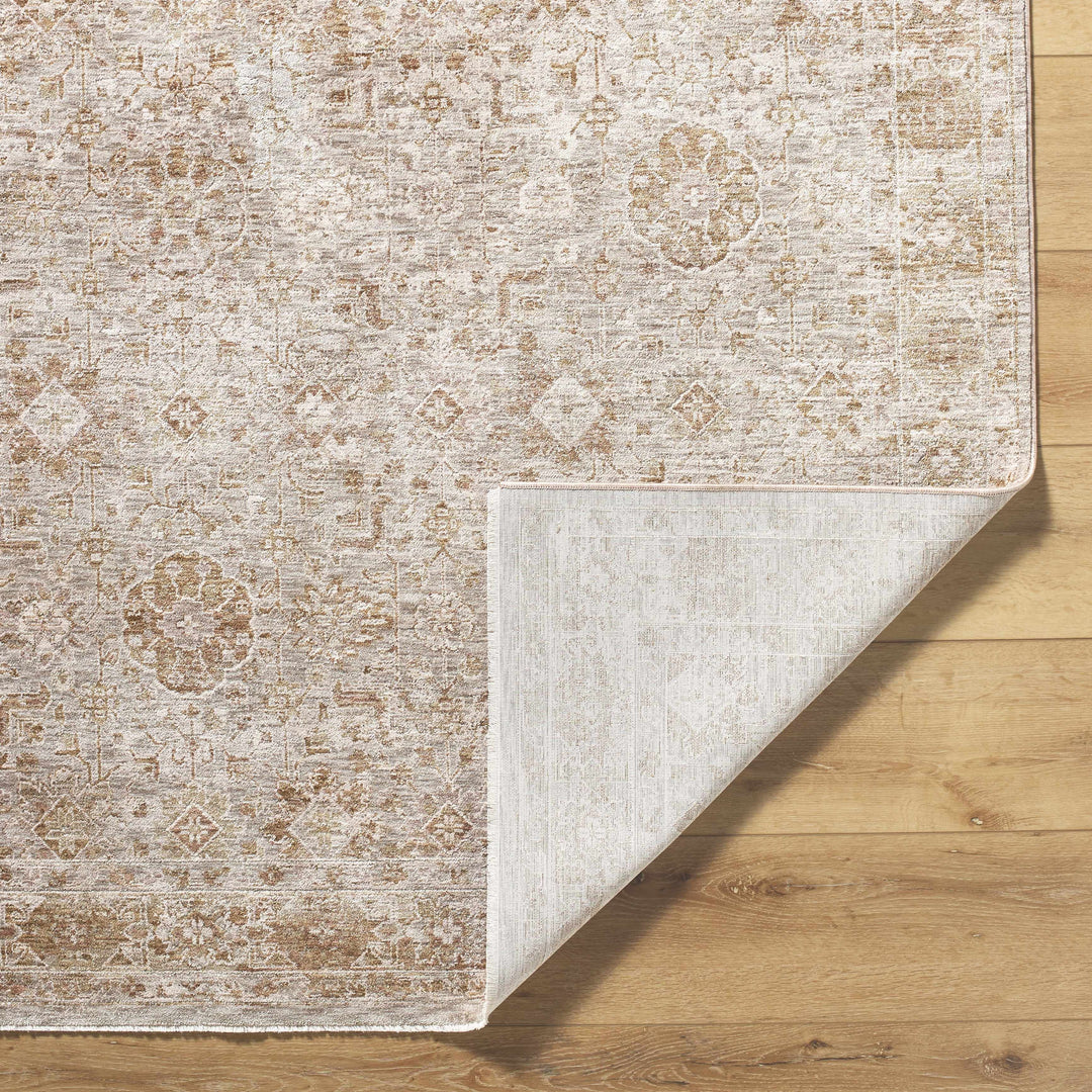 Andres Traditional Style Tan And Cream Area Rug