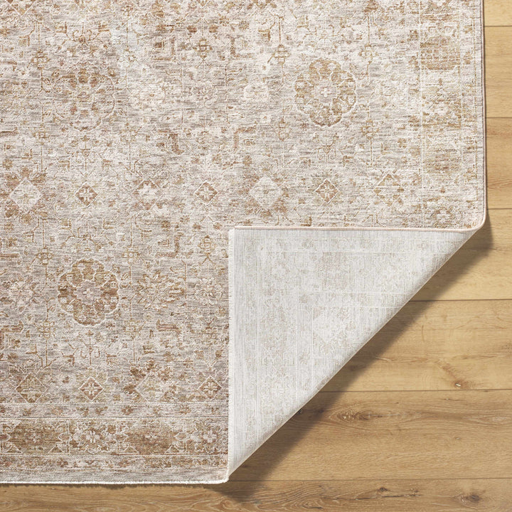 Andres Traditional Style Tan And Cream Area Rug