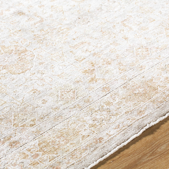 Andres Traditional Style Tan And Cream Area Rug