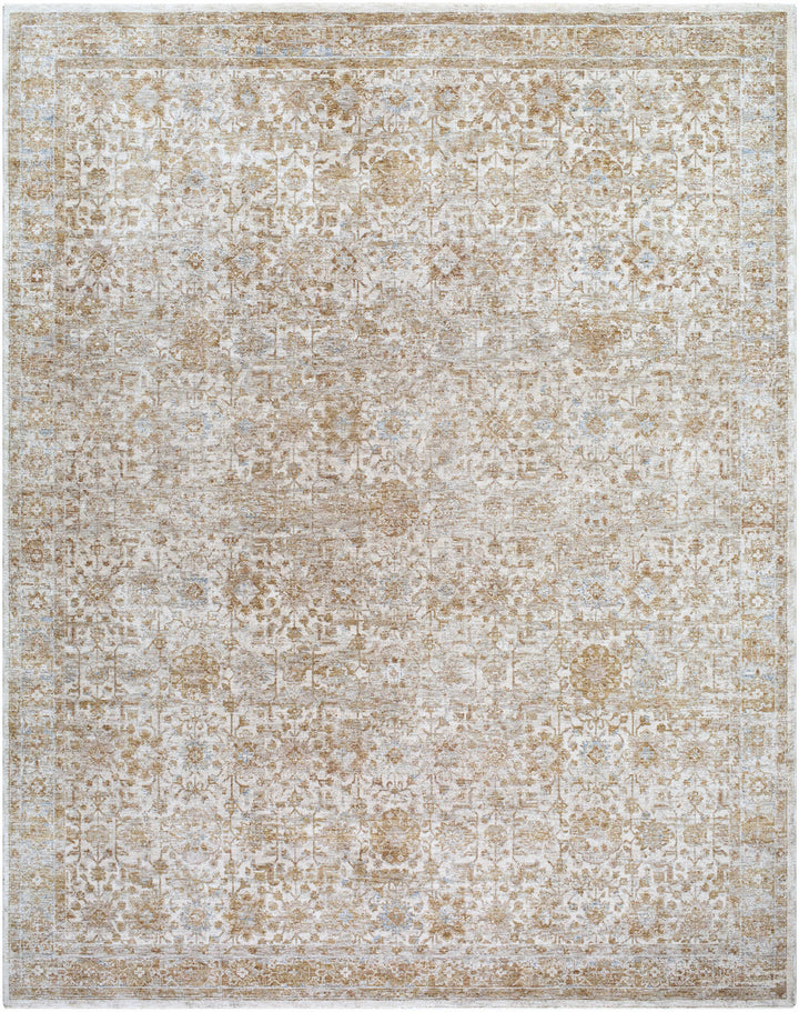 Andres Traditional Beige And Tan Rug