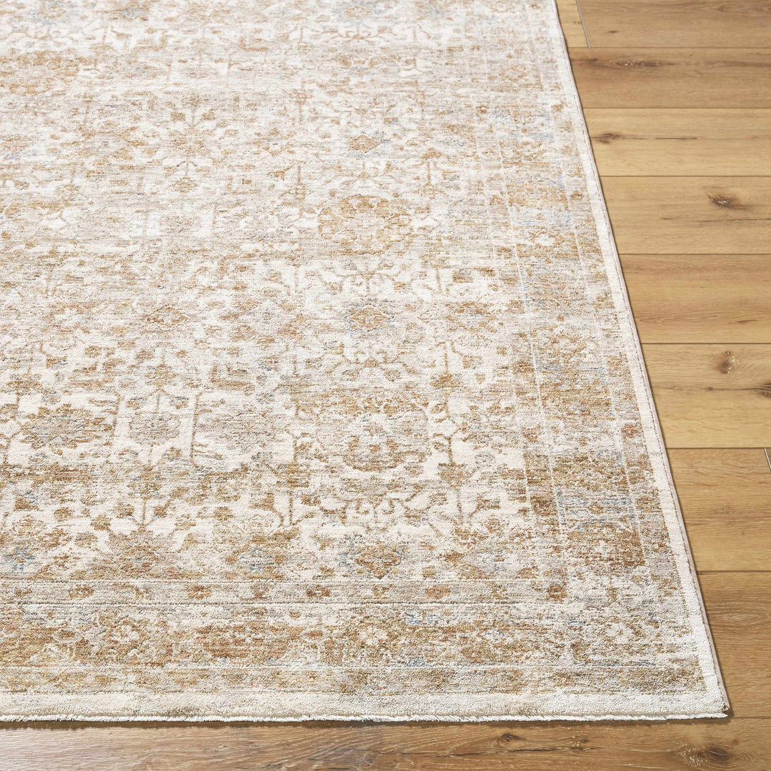 Andres Traditional Beige And Tan Rug