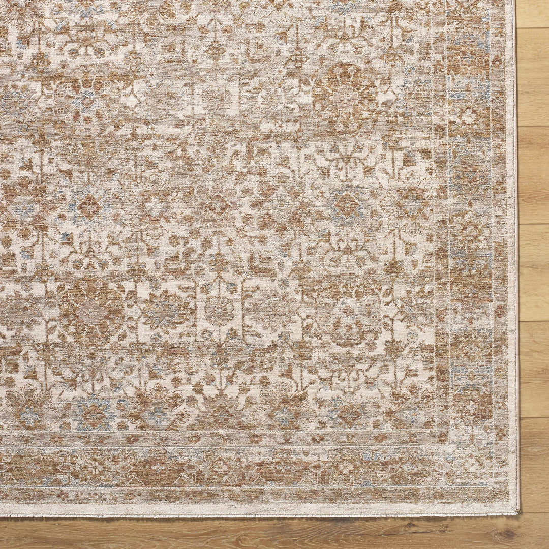 Andres Traditional Beige And Tan Rug
