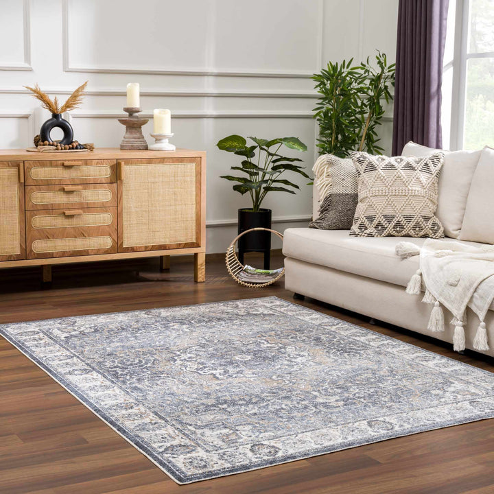 Aurum Traditional Style Ivory And Gray Washable Area Rug