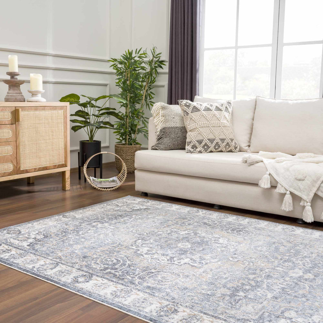 Aurum Traditional Style Ivory And Gray Washable Area Rug