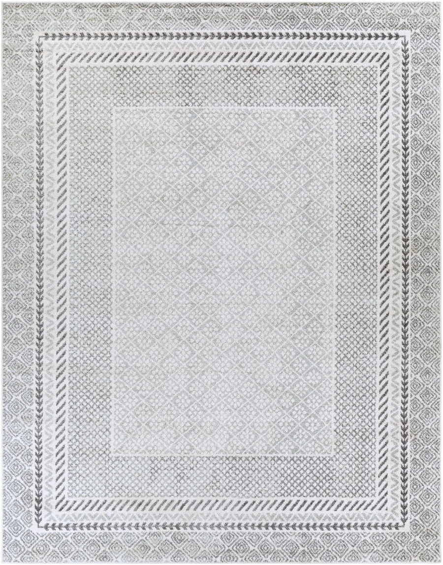 Gray-and-white geometric area rug with border frame and patterned center