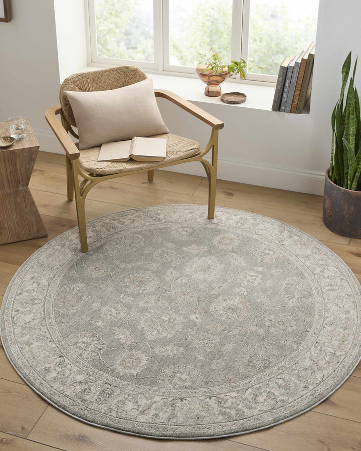 Alinae Traditional Oriental Design Beige And Gray Area Rug