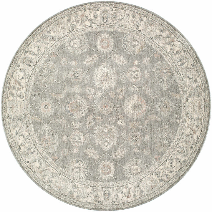 Alinae Traditional Oriental Design Beige And Gray Area Rug