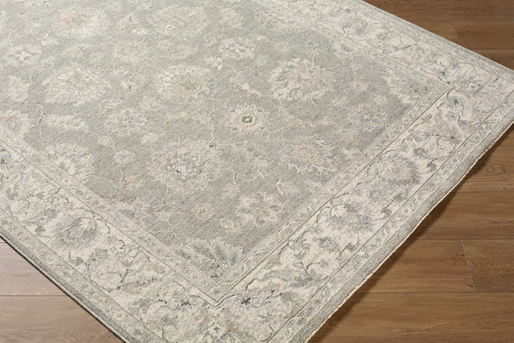 Alinae Traditional Oriental Design Beige And Gray Area Rug
