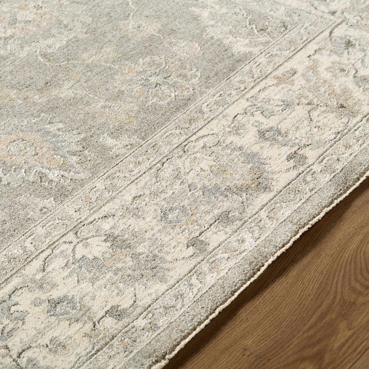 Alinae Traditional Oriental Design Beige And Gray Area Rug
