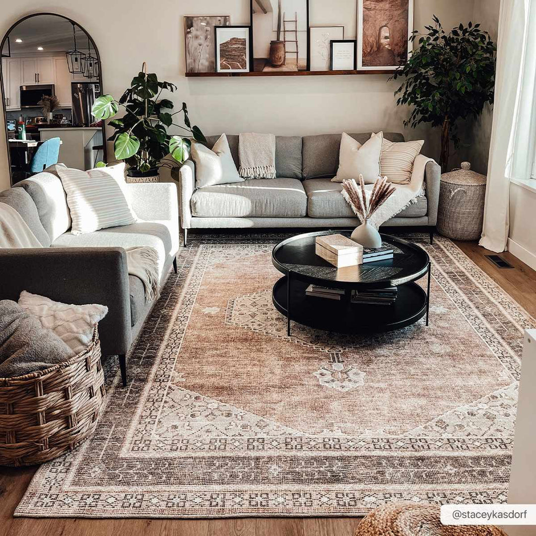 Haide Traditional Brown Machine Woven Rug