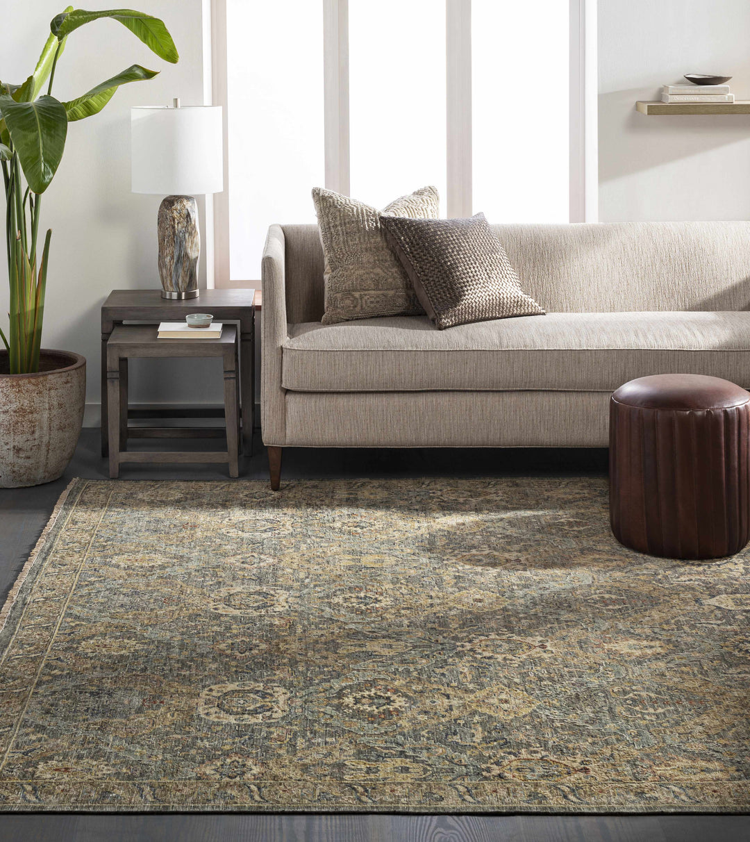 Acmar Beige And Brown Traditional Style Hand Knotted Area Rug