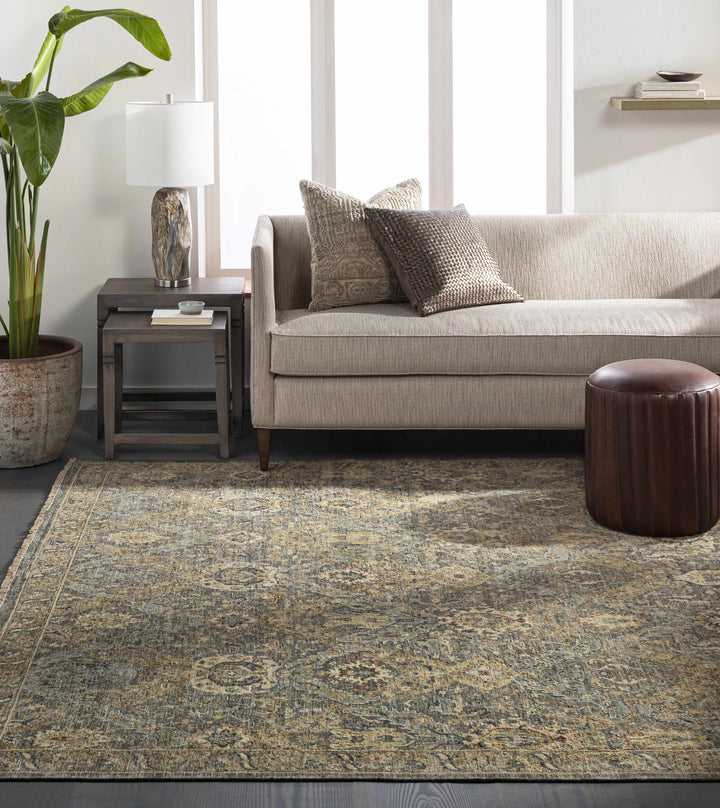 Acmar Beige And Brown Traditional Style Hand Knotted Area Rug