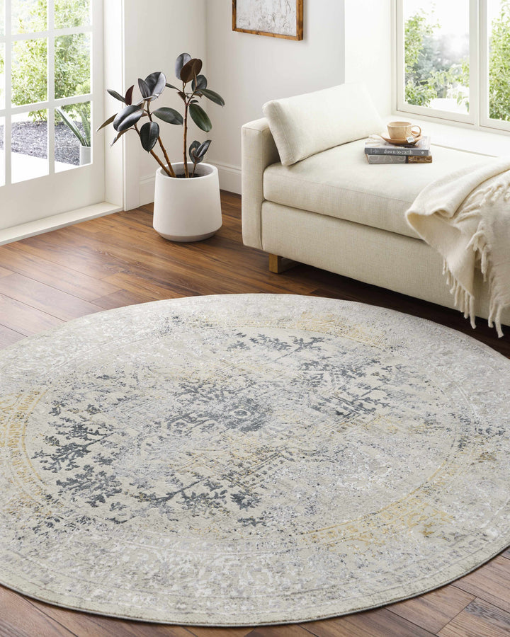 Morriston Traditional Style Ivory And Charcoal Area Rug