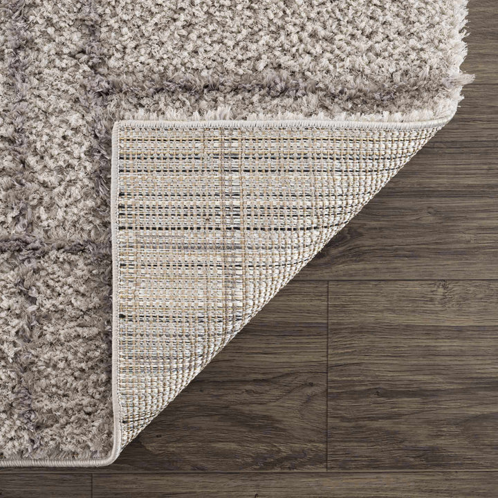 Andia Modern Abstract Design Silver And Gray Area Rug