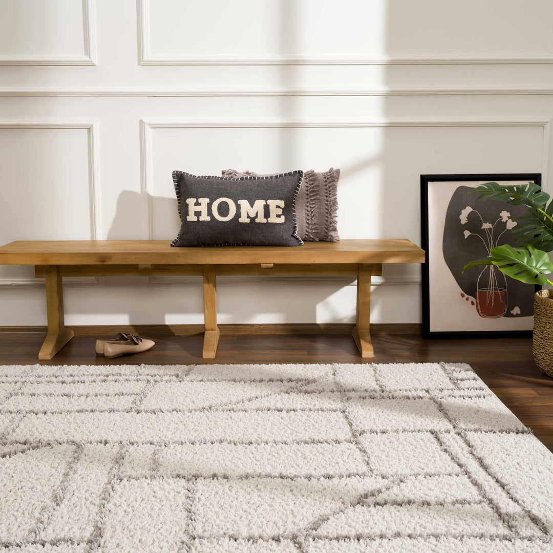 Andia Modern Abstract Design Silver And Gray Area Rug