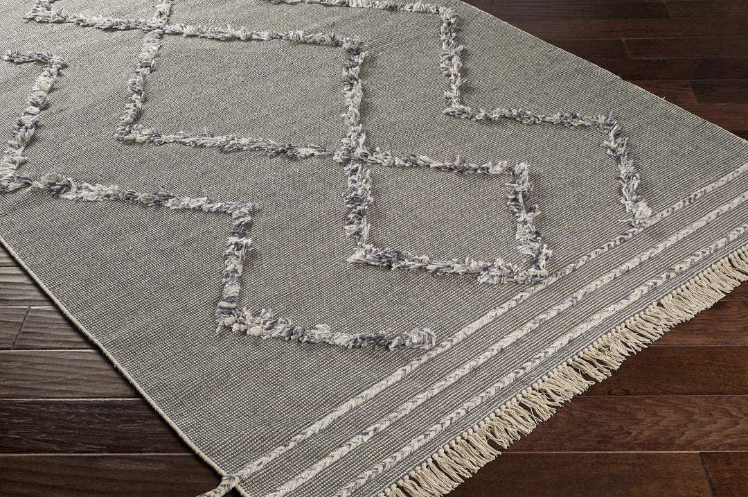 Needville Gray Modern Geometrical Design Hand Woven Area Rug