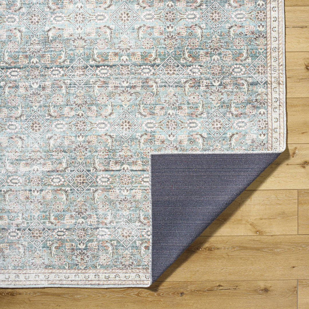Ayanna Traditional Transitional Gray Washable Rug