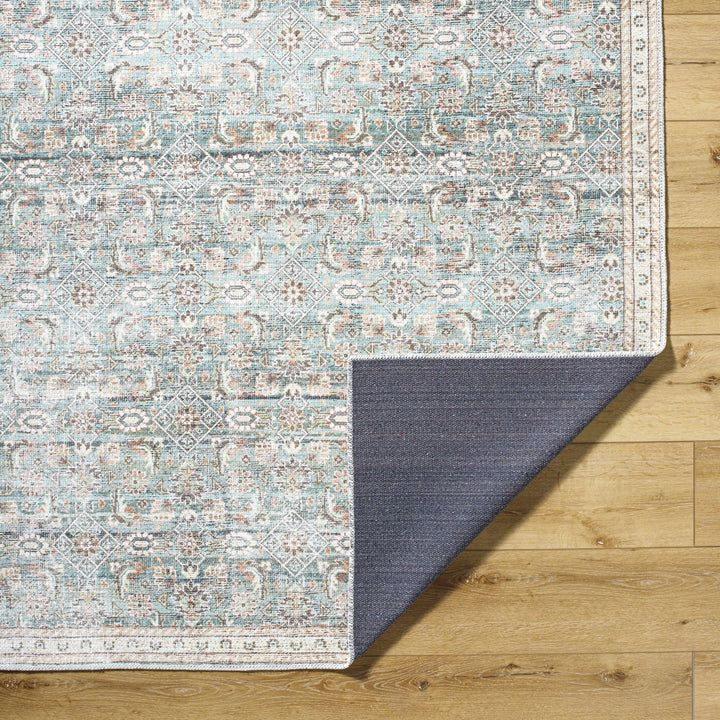 Ayanna Traditional Transitional Gray Washable Rug