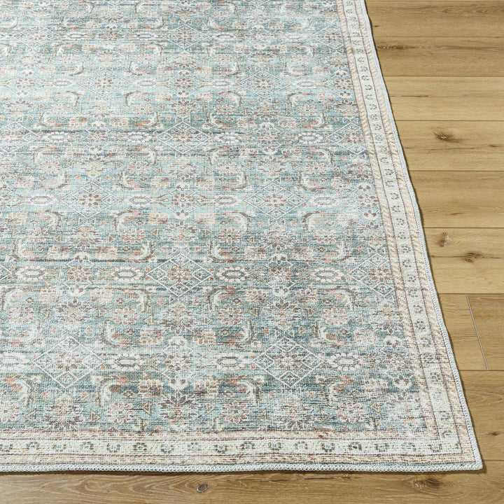 Ayanna Traditional Transitional Gray Washable Rug