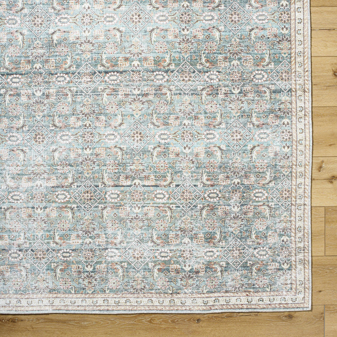 Ayanna Traditional Transitional Gray Washable Rug