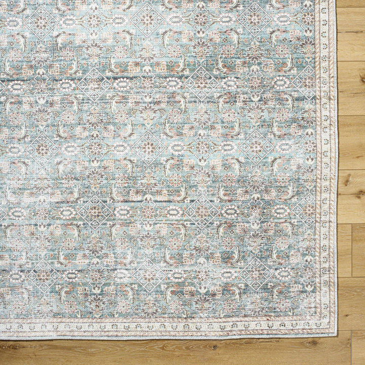 Ayanna Traditional Transitional Gray Washable Rug